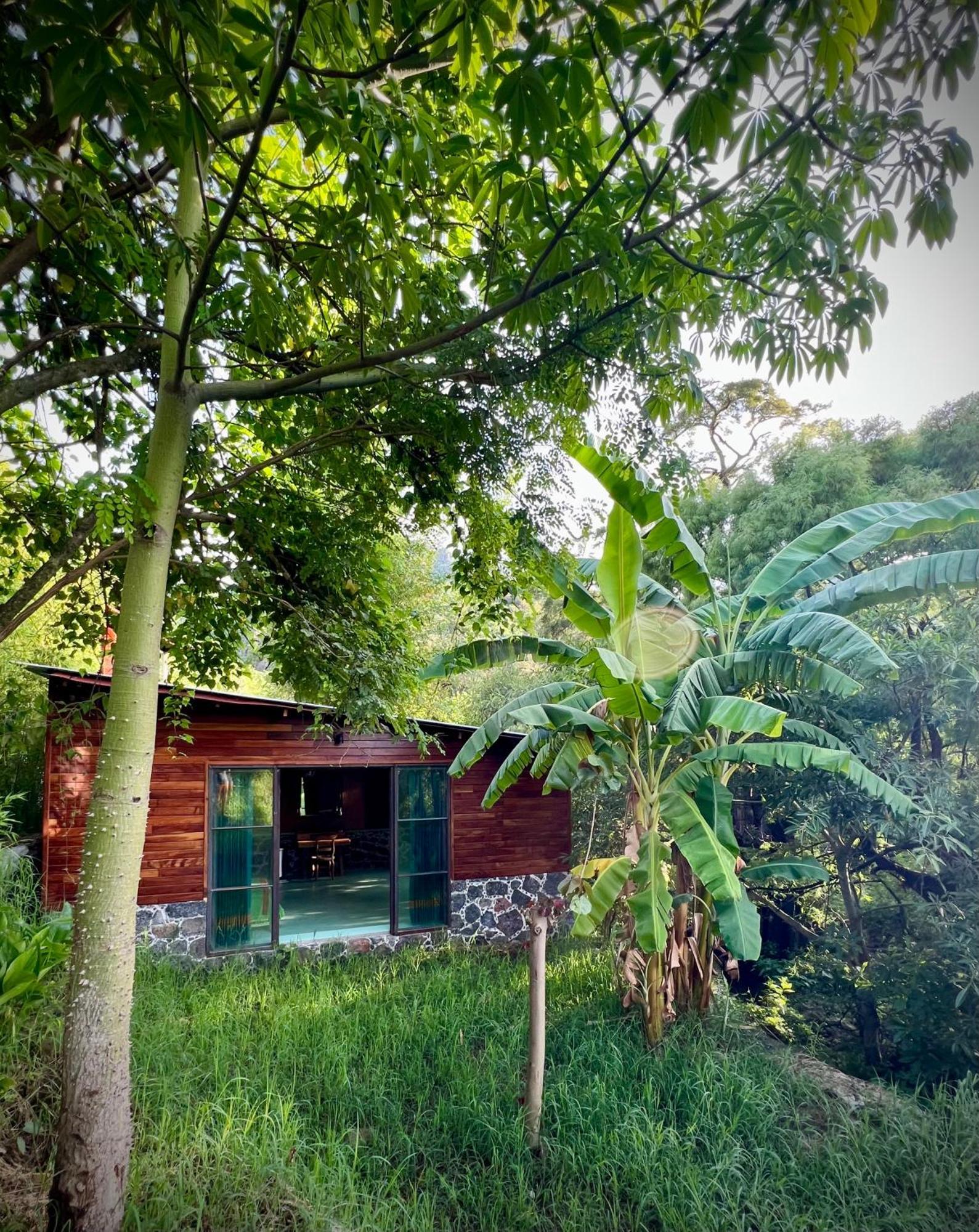 Santuario Ave Fenix-Cabanas Tepoztlan Luaran gambar